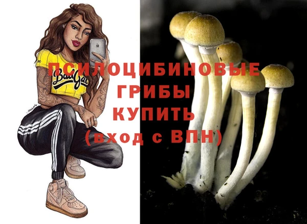 a pvp Алзамай