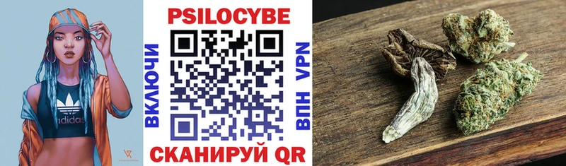 Галлюциногенные грибы Psilocybine cubensis  ОМГ ОМГ ТОР  Карачаевск  купить наркотик 