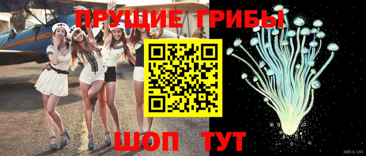 Псилоцибиновые грибы Cubensis Карачаевск